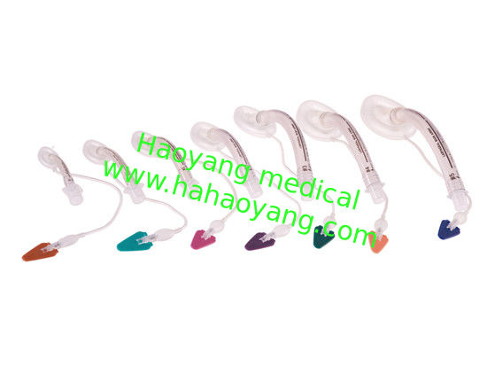 Laryngeal Mask - PVC Disposable